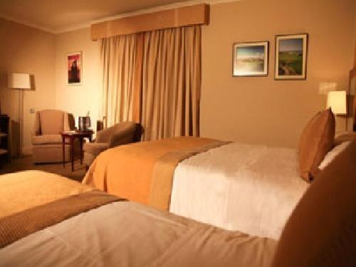 Harty Costello Town House Ballybunion Cameră foto